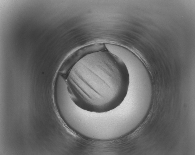 X0000068860854200606021759