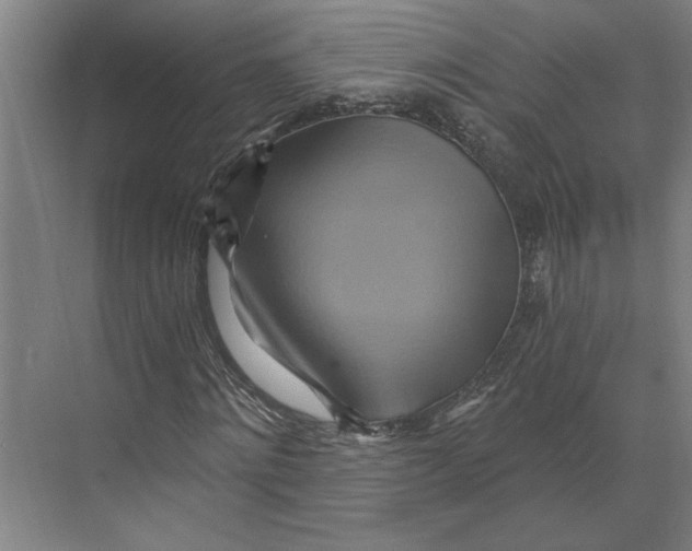 X0000068860868200606021758