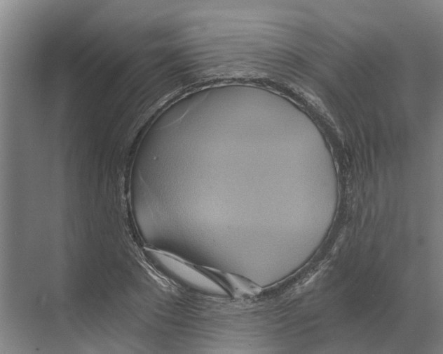 X0000068860881200606021758