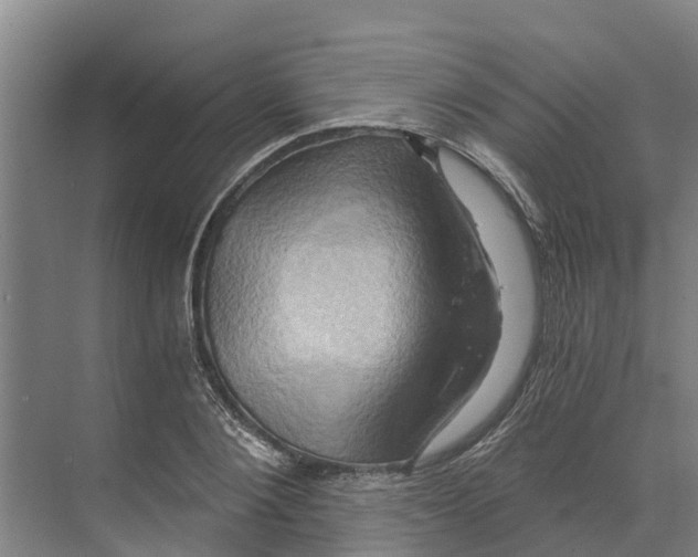 X0000068860884200606021758