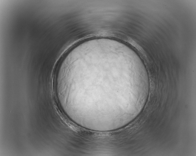 X0000068860886200606021758