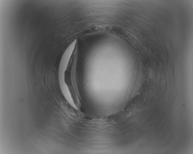 X0000068860914200606021756