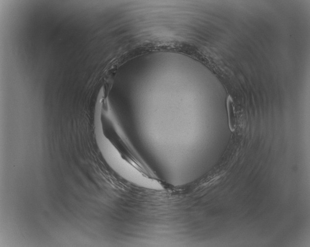 X0000068860916200606021756