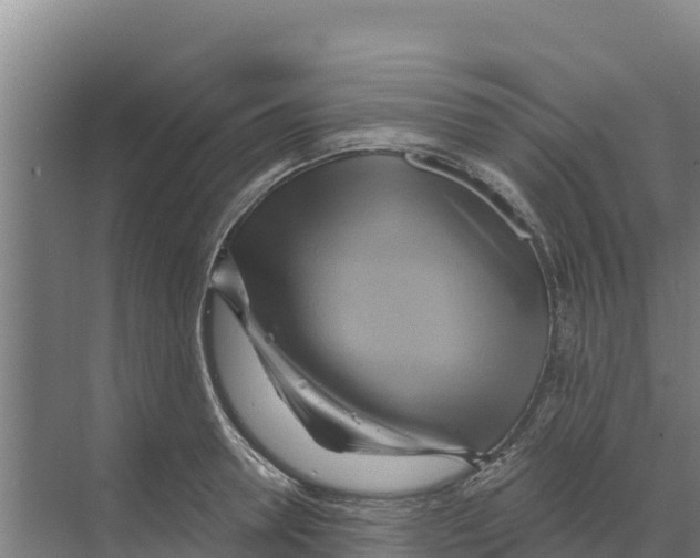 X0000068860946200606021757
