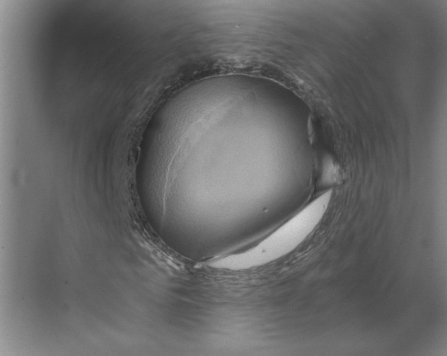 X0000068860961200606021756