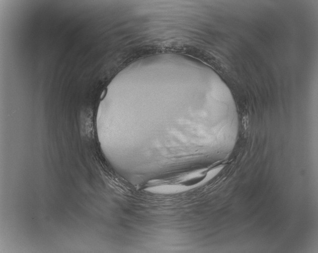 X0000068860963200606021756