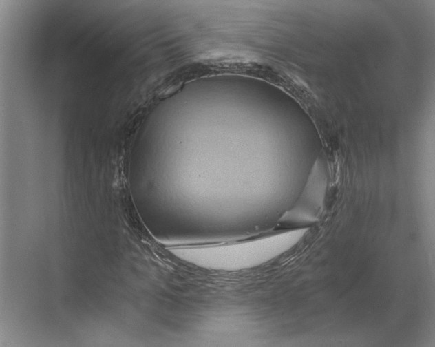 X0000068860965200606021756