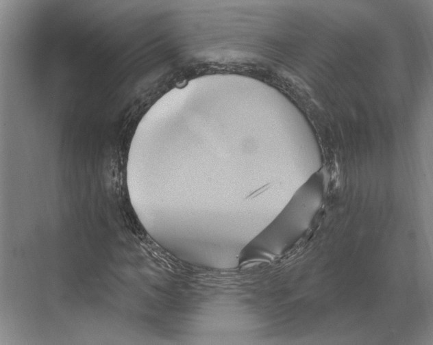 X0000068860966200606021756