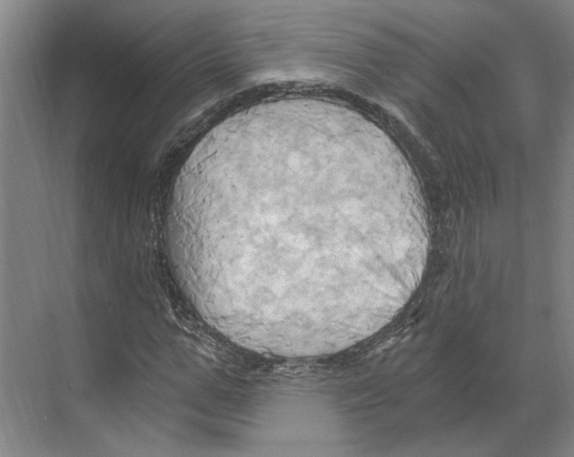 X0000068860967200606021756