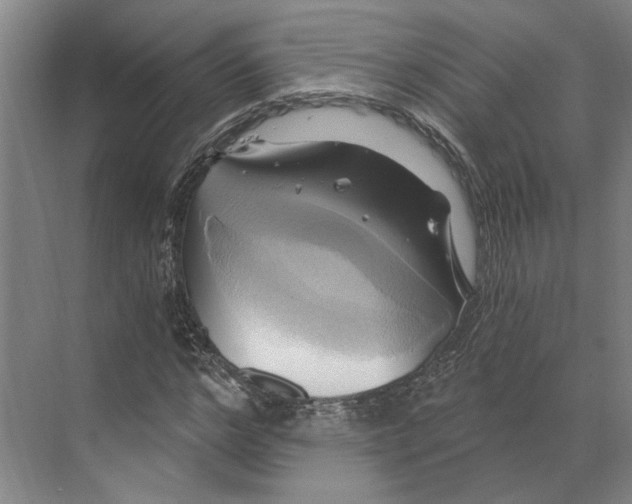 X0000068860968200606021756