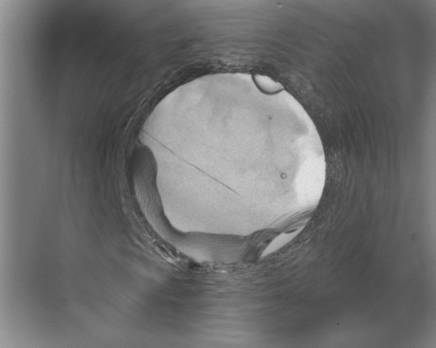 X0000068861009200606021755