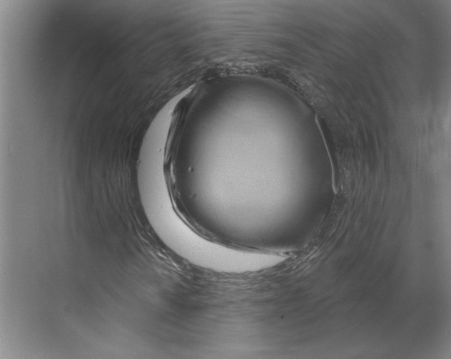 X0000068861010200606021755