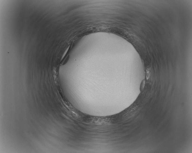 X0000068861011200606021755