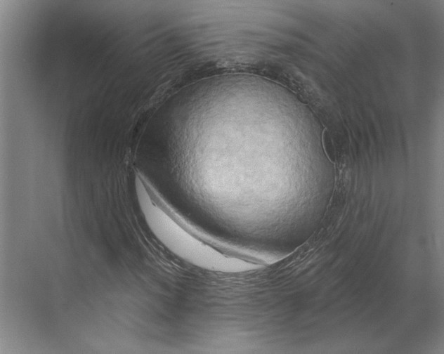 X0000068861012200606021755