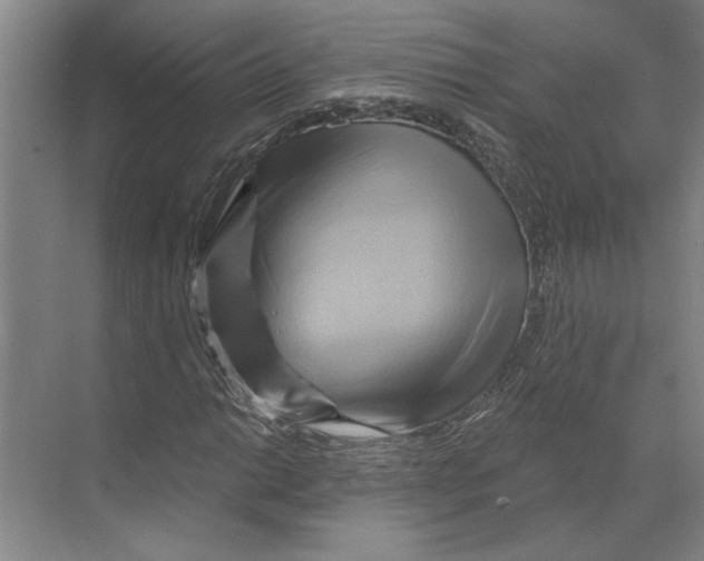 X0000068861014200606021755