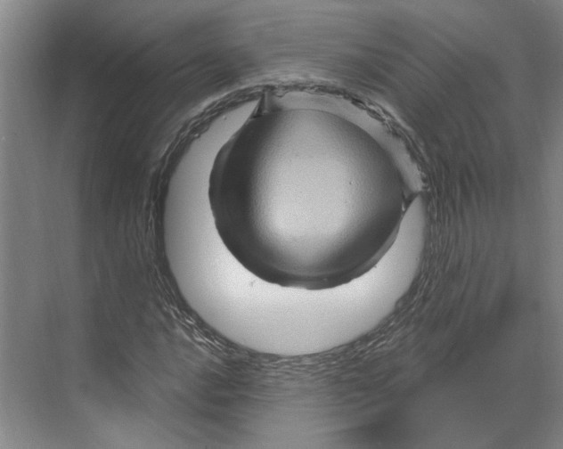 X0000068861016200606021755