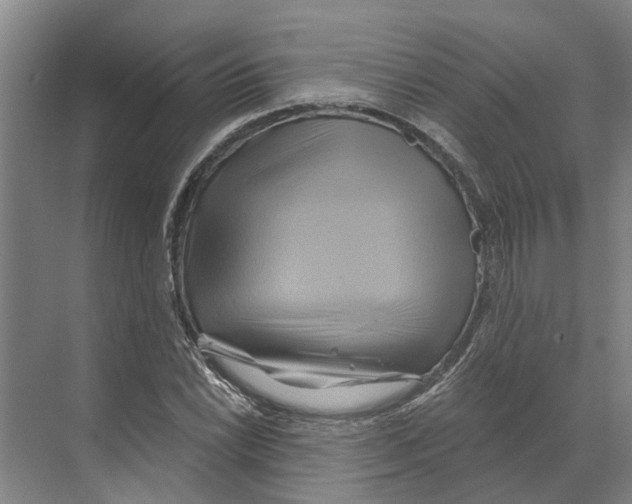 X0000068861022200606021755