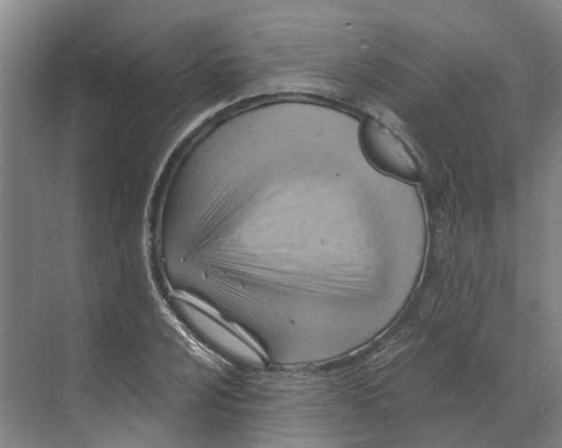 X0000068861024200606021755