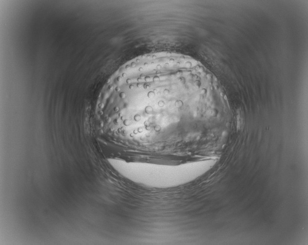 X0000068861059200606021755