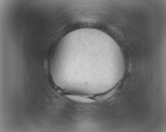 X0000068861061200606021755