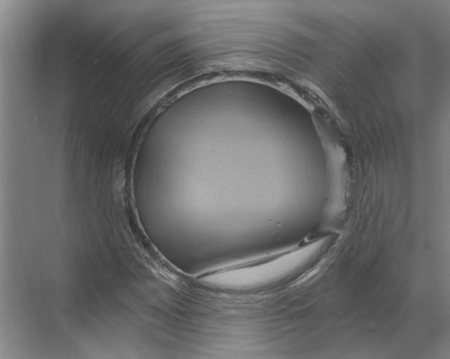 X0000068861065200606021755