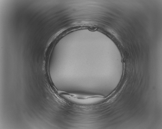 X0000068861066200606021755