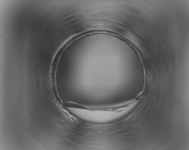 X0000068861068200606021755