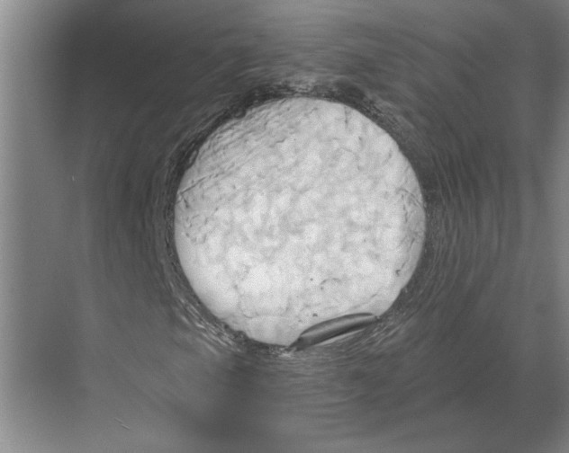 X0000068861105200606021753