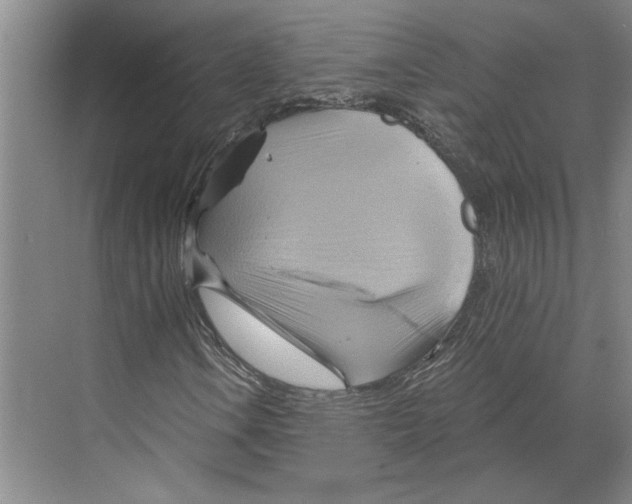 X0000068861106200606021753