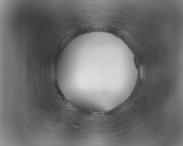X0000068861107200606021753