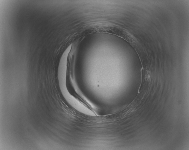 X0000068861108200606021753