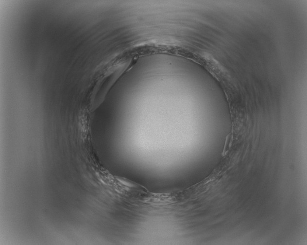 X0000068861110200606021753