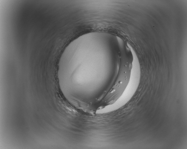 X0000068861153200606021753