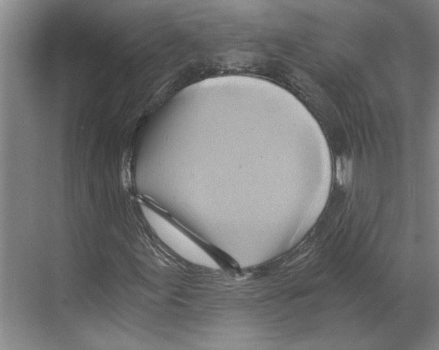 X0000068861155200606021753