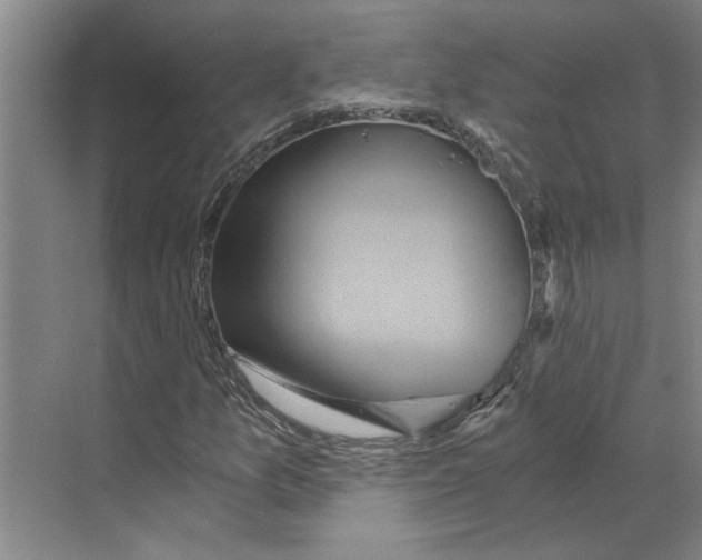 X0000068861157200606021753