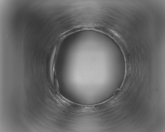 X0000068861161200606021753