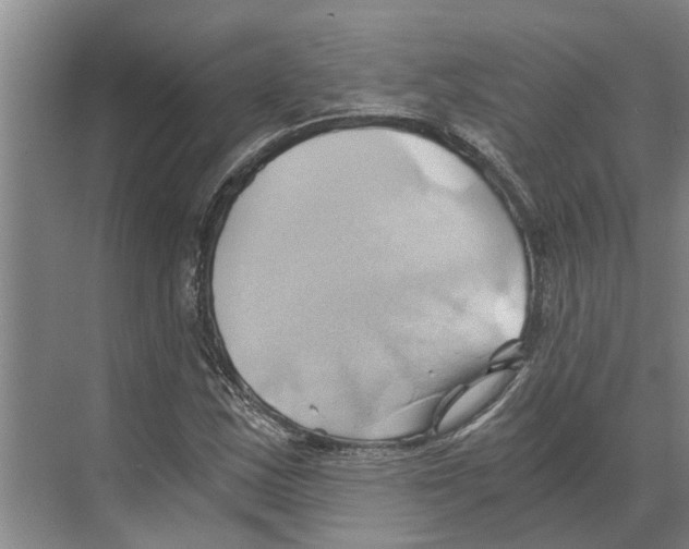 X0000068861163200606021753