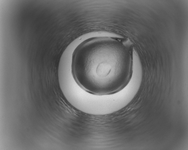 X0000068861202200606021752