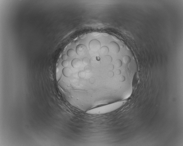 X0000068861205200606021752
