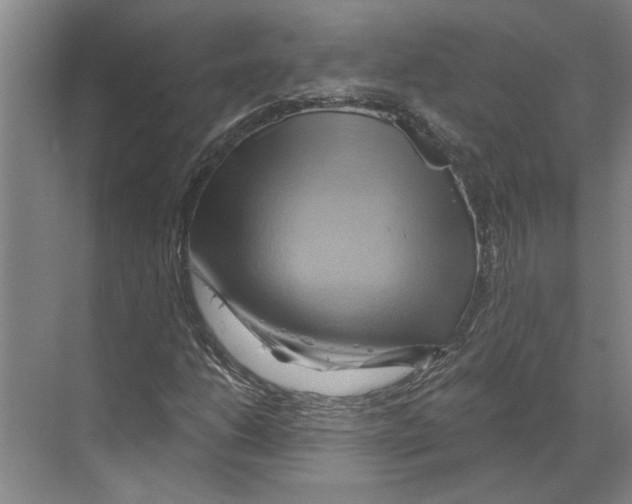 X0000068861206200606021752