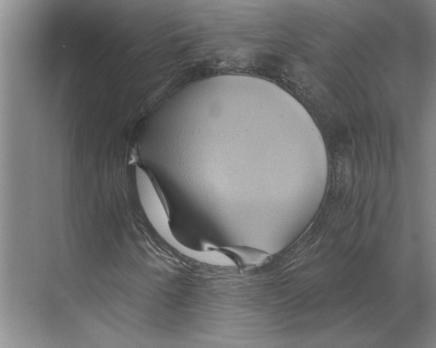X0000068861250200606021752