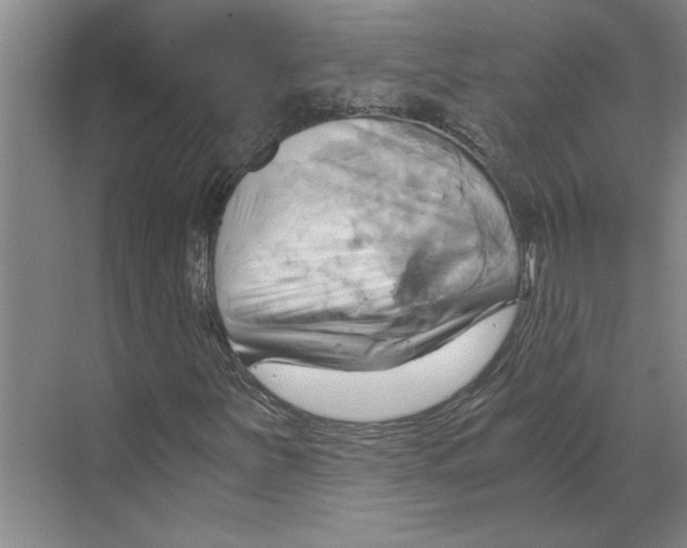X0000068861251200606021752