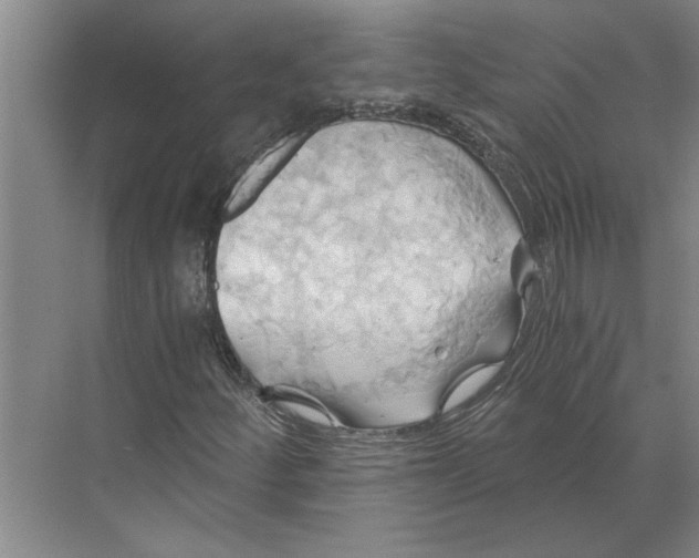 X0000068861252200606021752