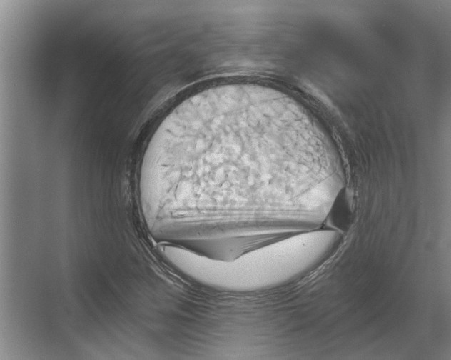 X0000068861259200606021751