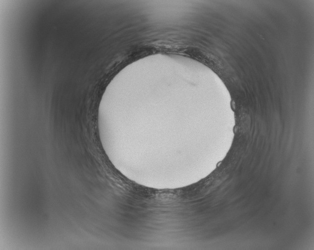 X0000068861297200606021750