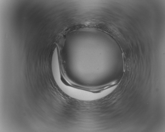 X0000068861298200606021750