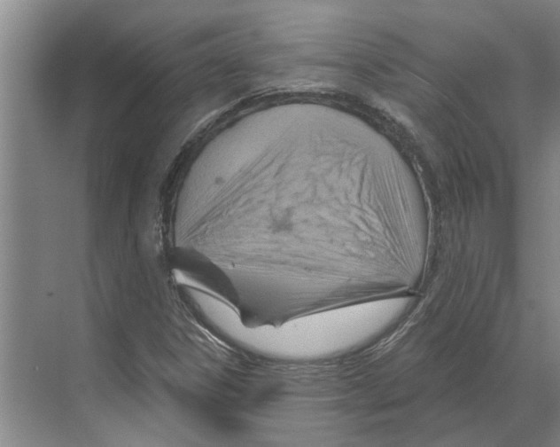 X0000068861306200606021750