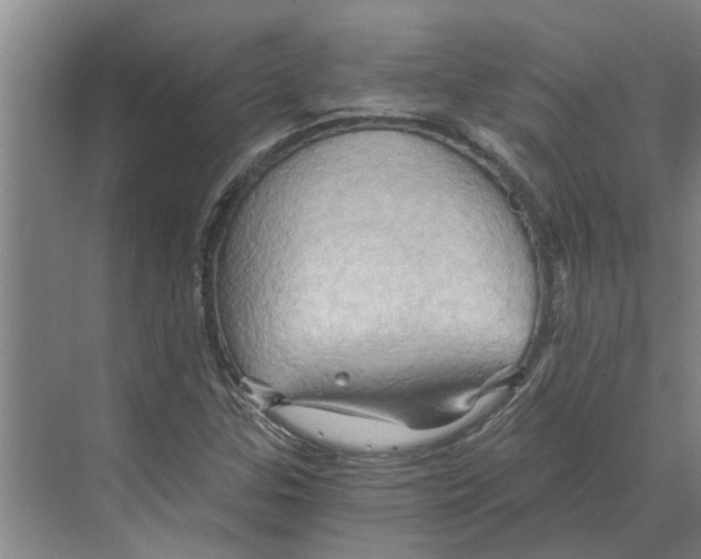X0000068861307200606021750