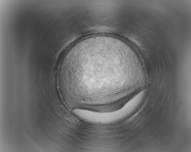 X0000068861309200606021750