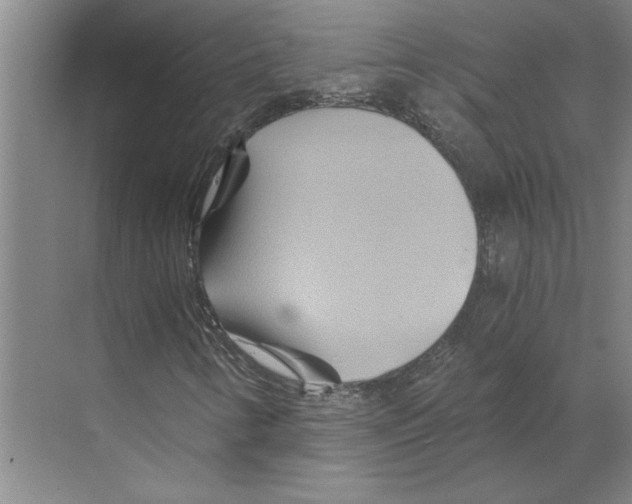 X0000068861346200606021750